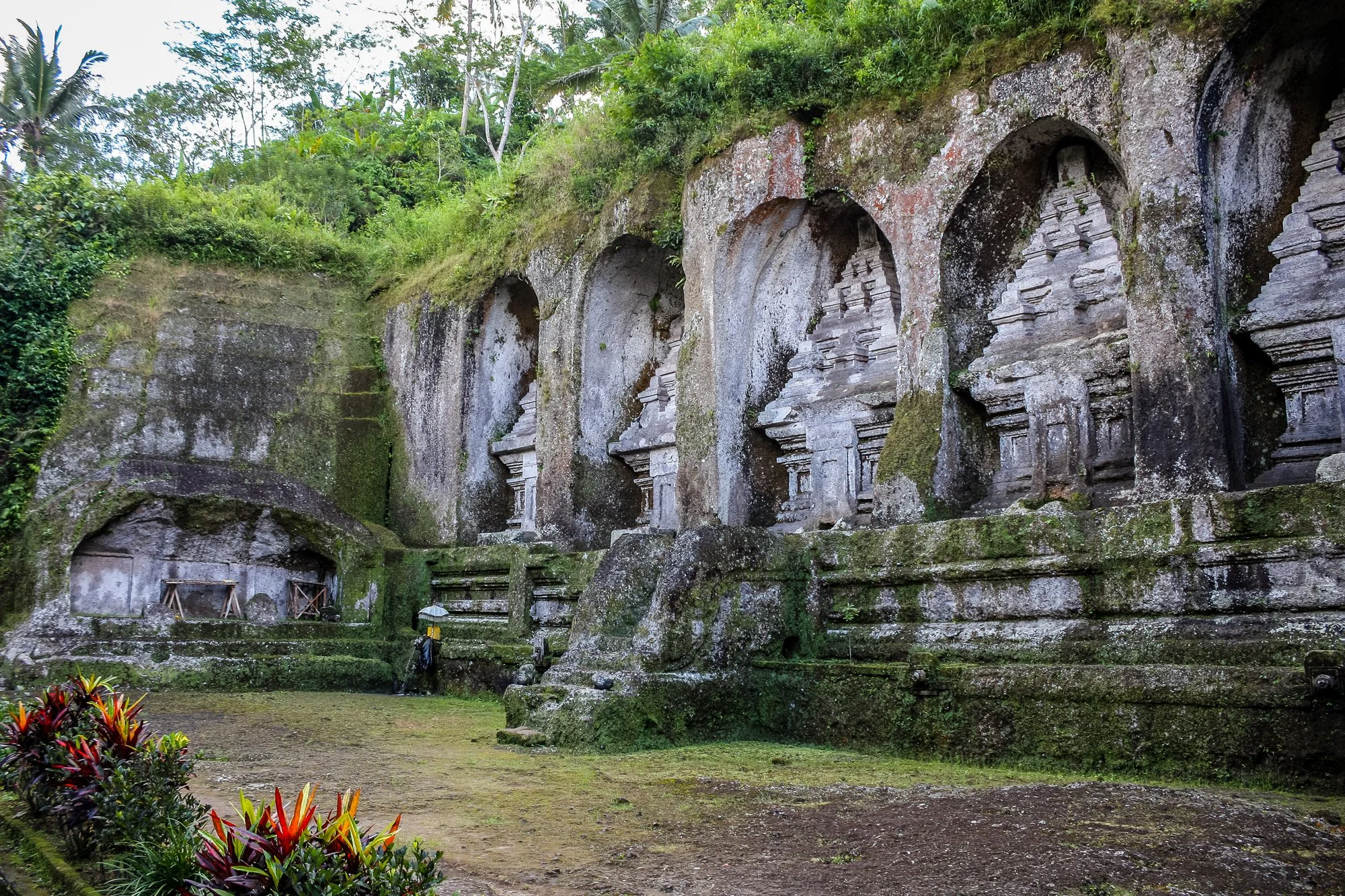 Ancient stone temples carved into a moss-covered cliffside in a lush jungle.