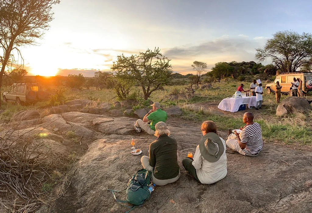 Group of people enjoying a sunset picnic in a savannah with trees, rocks, and safari vehicles nearby.