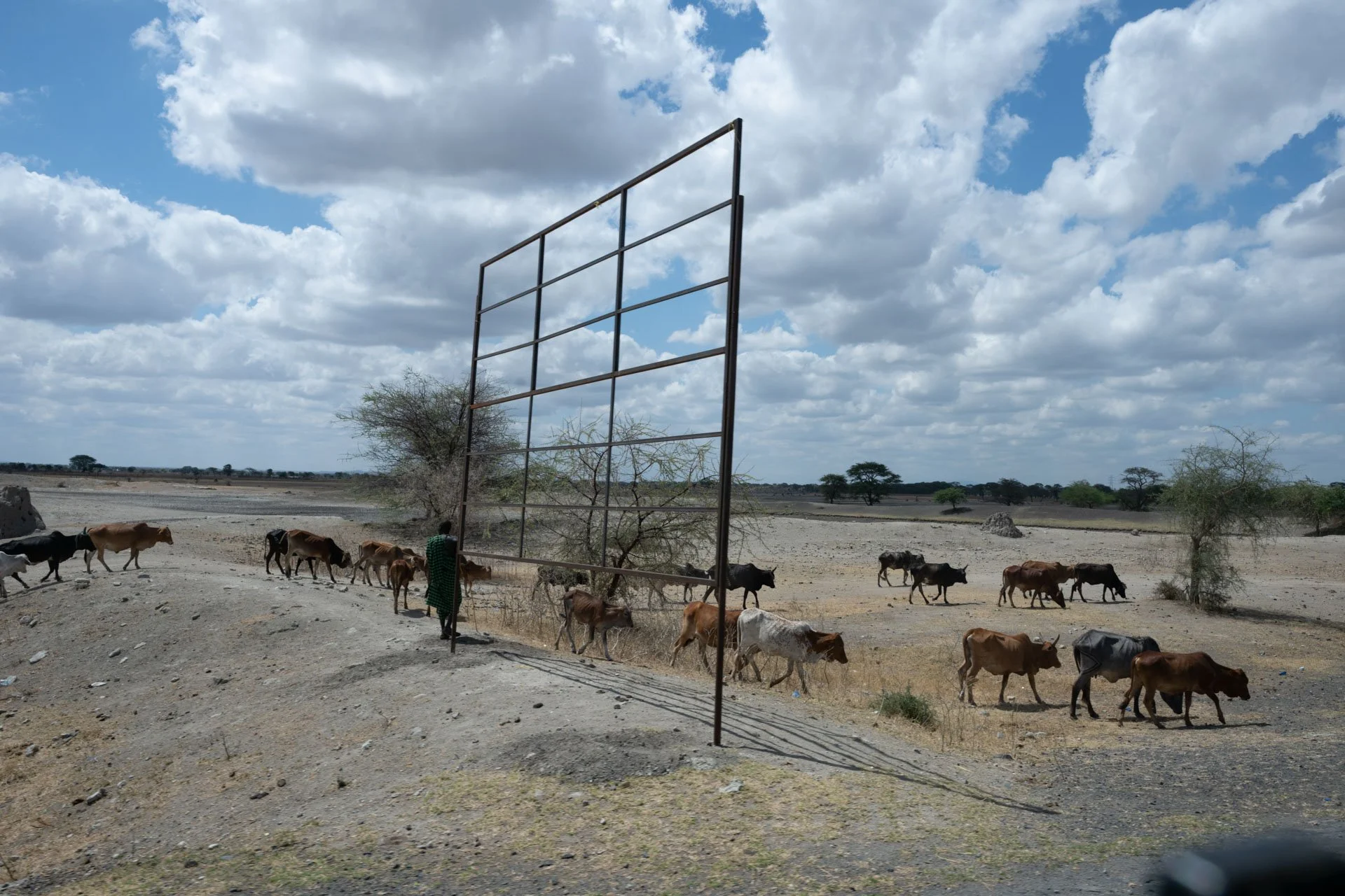 A vast, arid landscape with sparse vegetation and scattered trees under a partly cloudy sky, with cattle and a person walking along a dirt road.