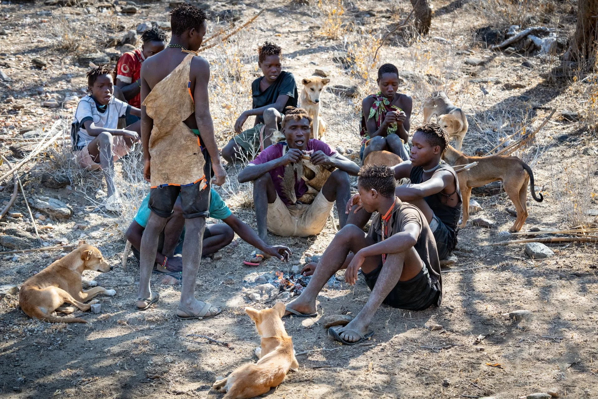 A group of young people and children sitting and standing around a small fire with puppies lying on the ground, in a dry, wooded outdoor area.