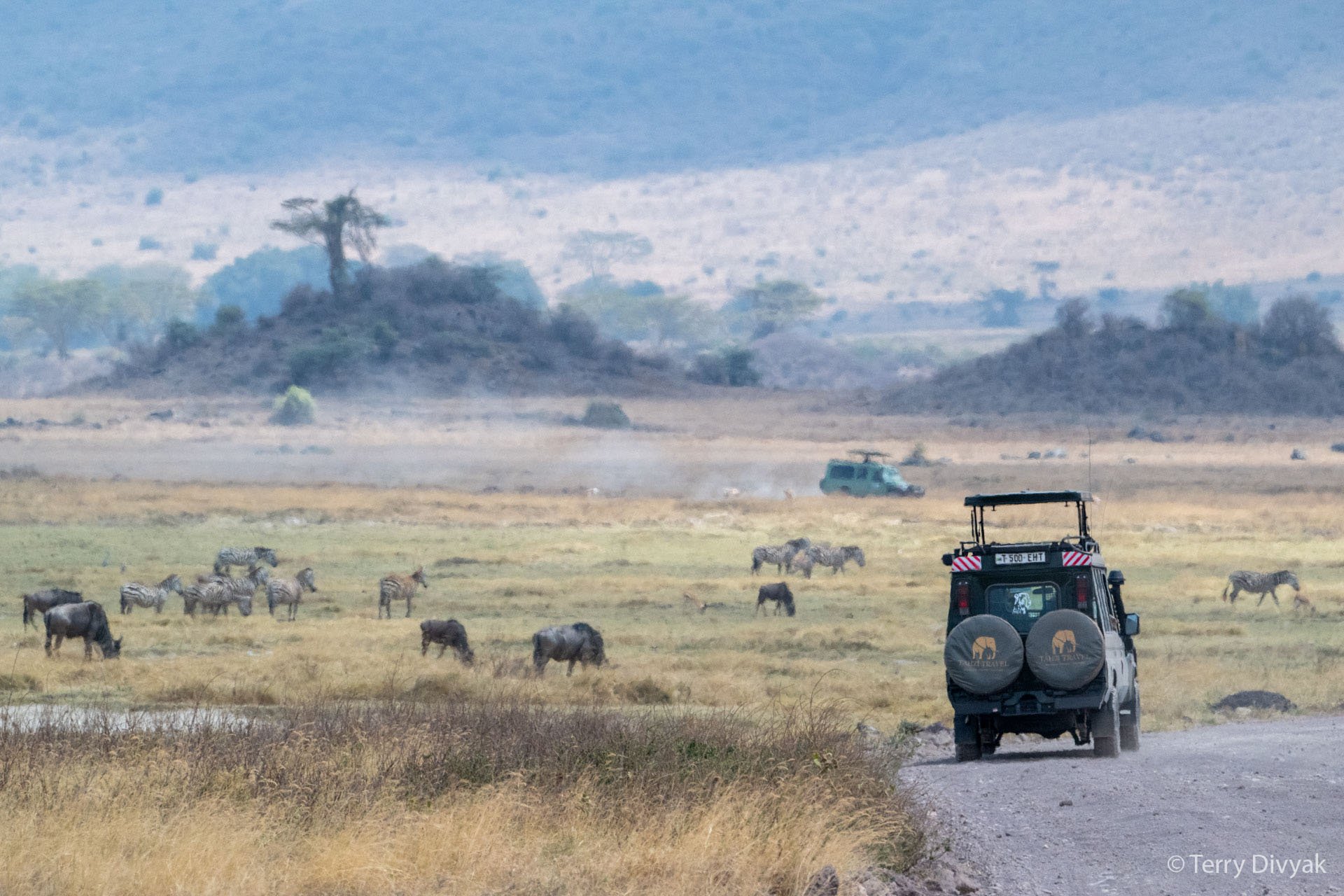 A safari vehicle driving on a dirt road in a grassy landscape, with elephants grazing nearby and zebras in the distance. There are some trees and hills in the background.