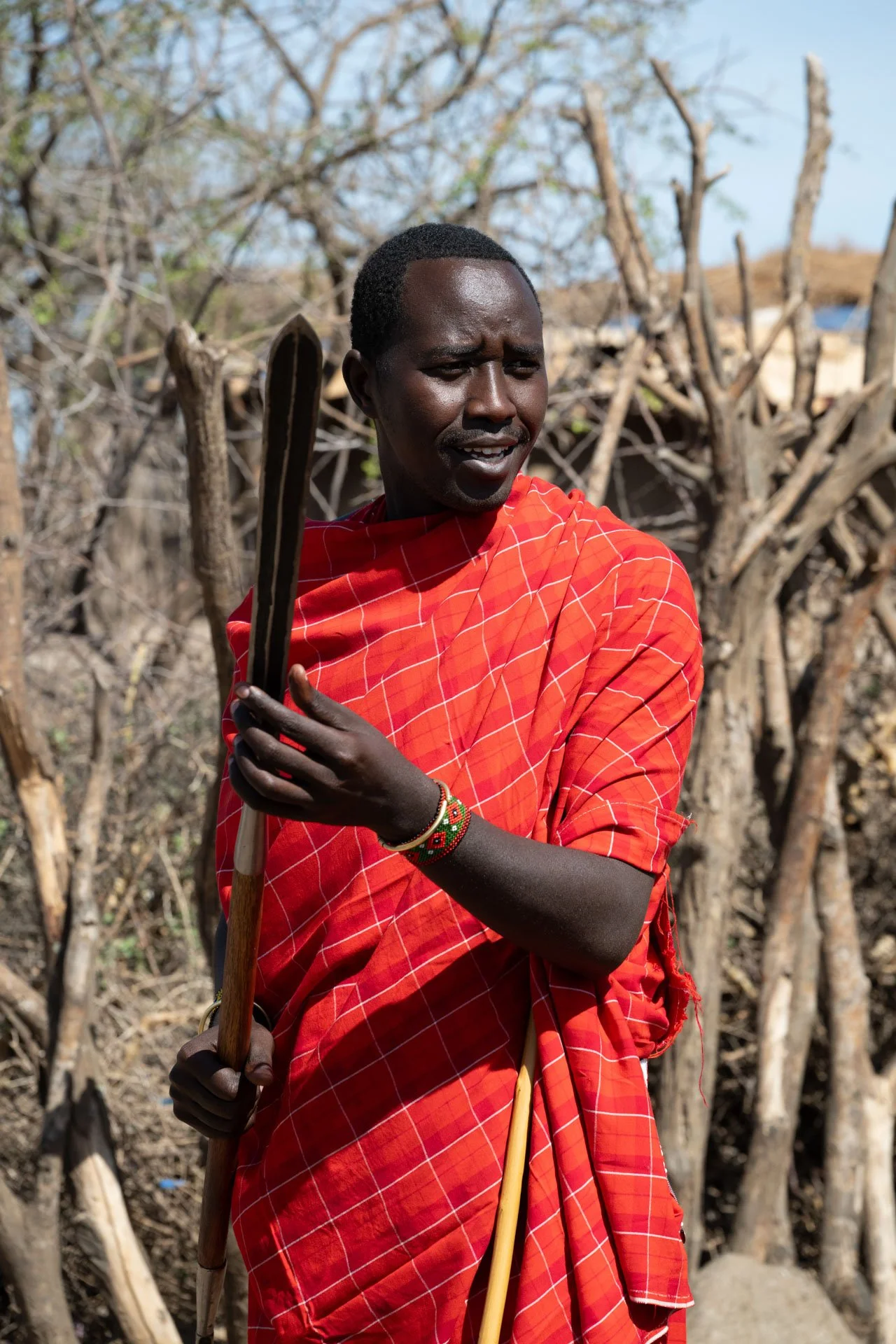A Maasai man wearing a red shuka holding wooden sticks, standing outdoors among dry trees.
