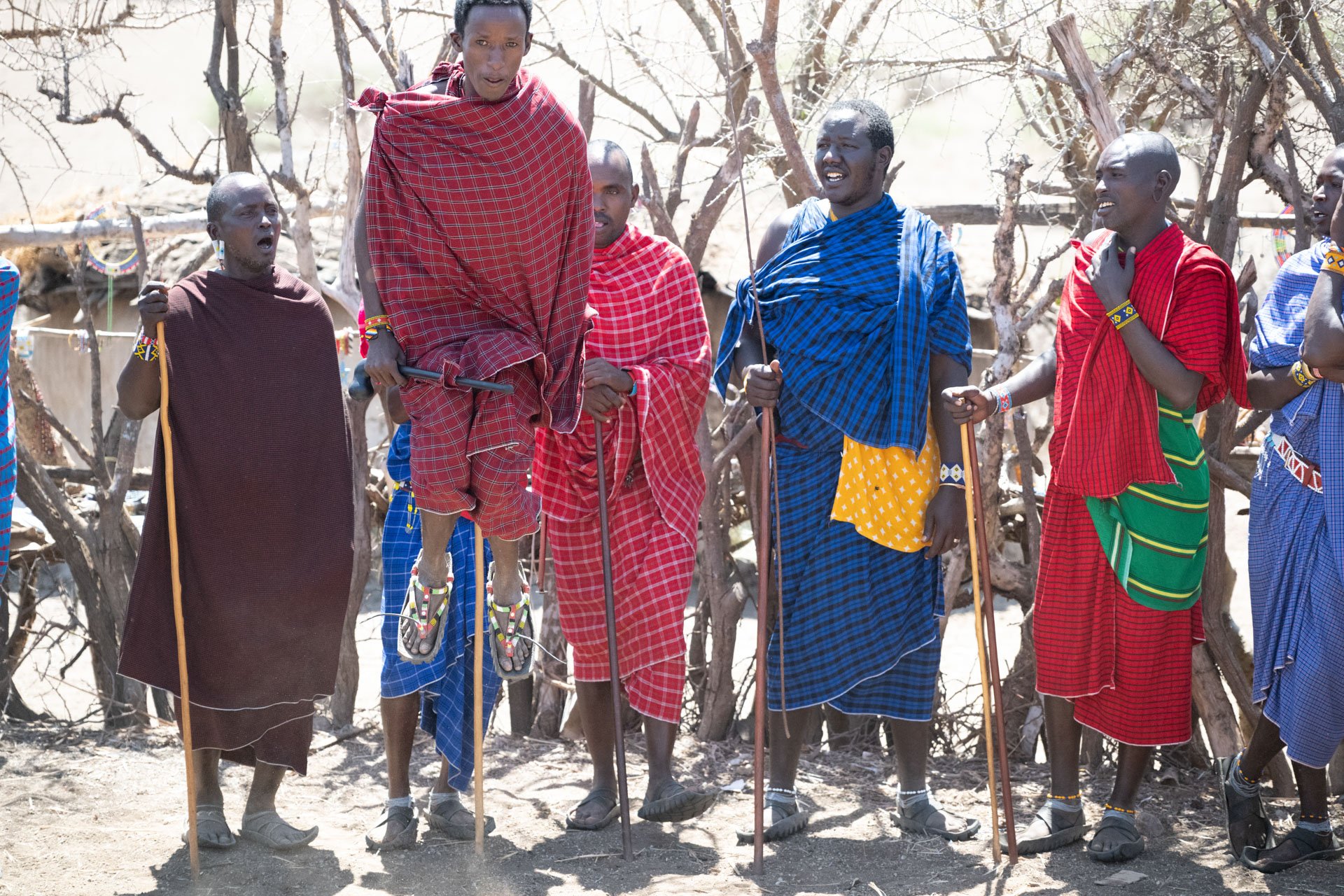 A group of Maasai men in traditional clothing, some holding wooden staffs, are outdoors in a dry, arid landscape with leafless trees.