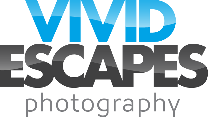 Vivid Escapes