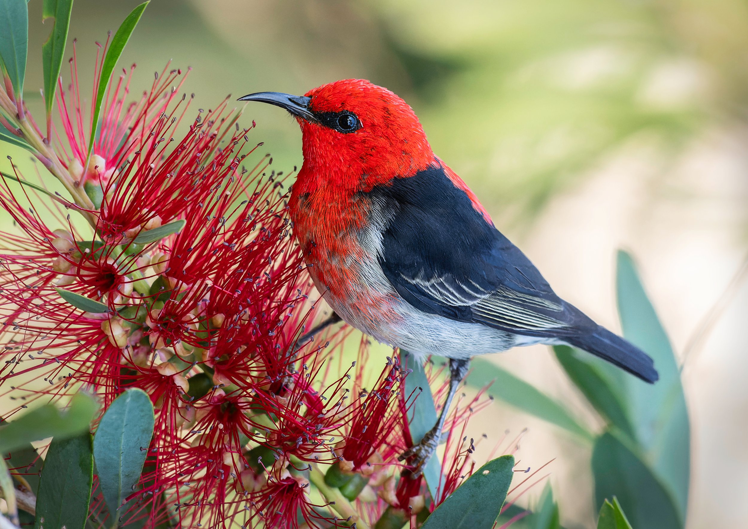 A new window on nature