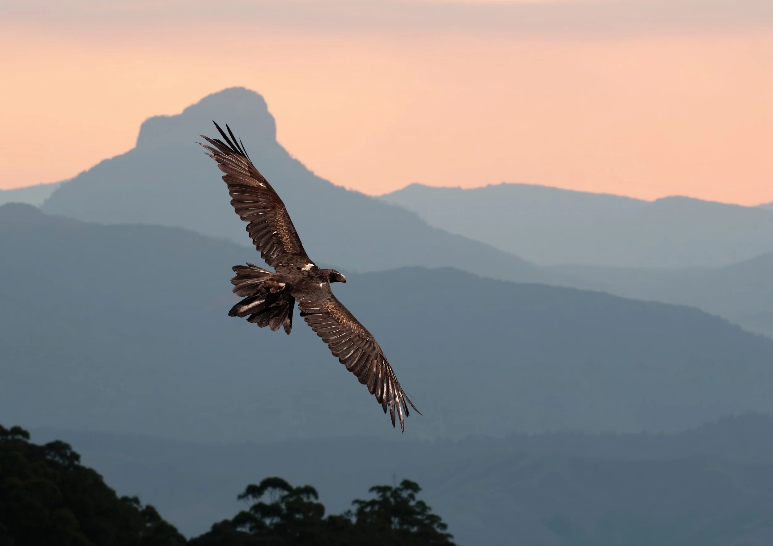 Behind the Lens: My Workflow in the Field