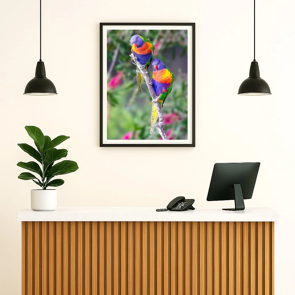 A modern office reception desk with a potted plant, a telephone, and a computer monitor. Two black hanging pendant lights and a framed colorful picture of two rainbow lorikeets are on the wall.