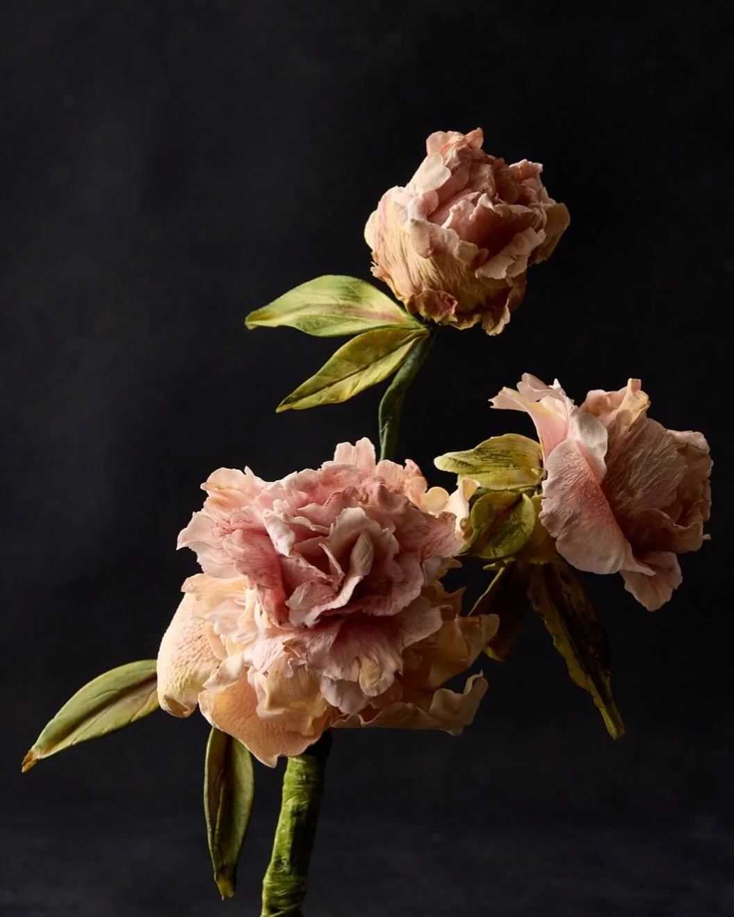 So excited to start offering sugar flower classes in Dallas soon. π€πΈ