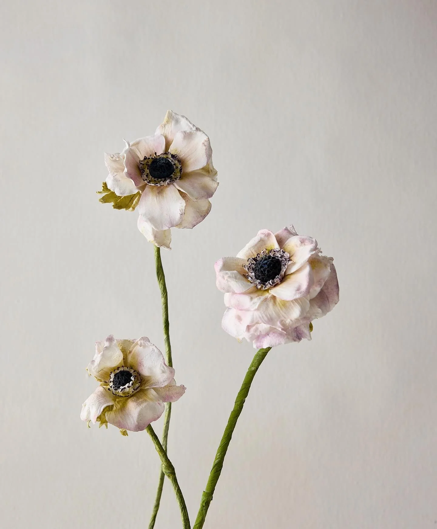 Really loving these guys lately. π€π€