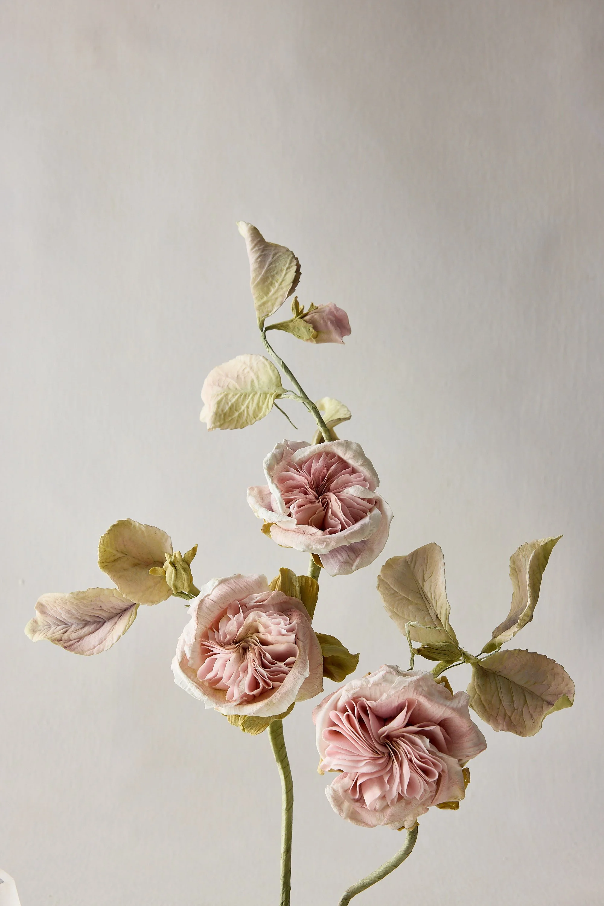 Samantha Miller Pastry14677_web.jpg