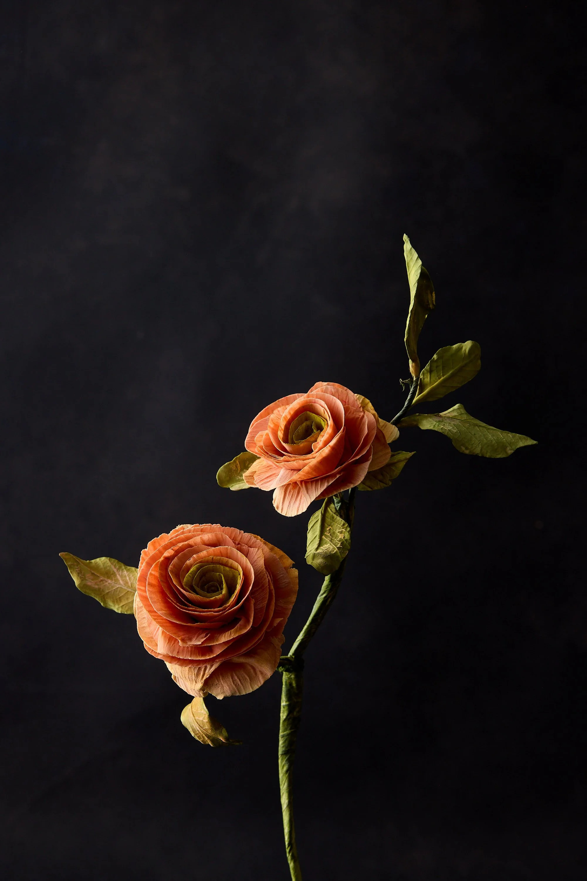 Ranunculus