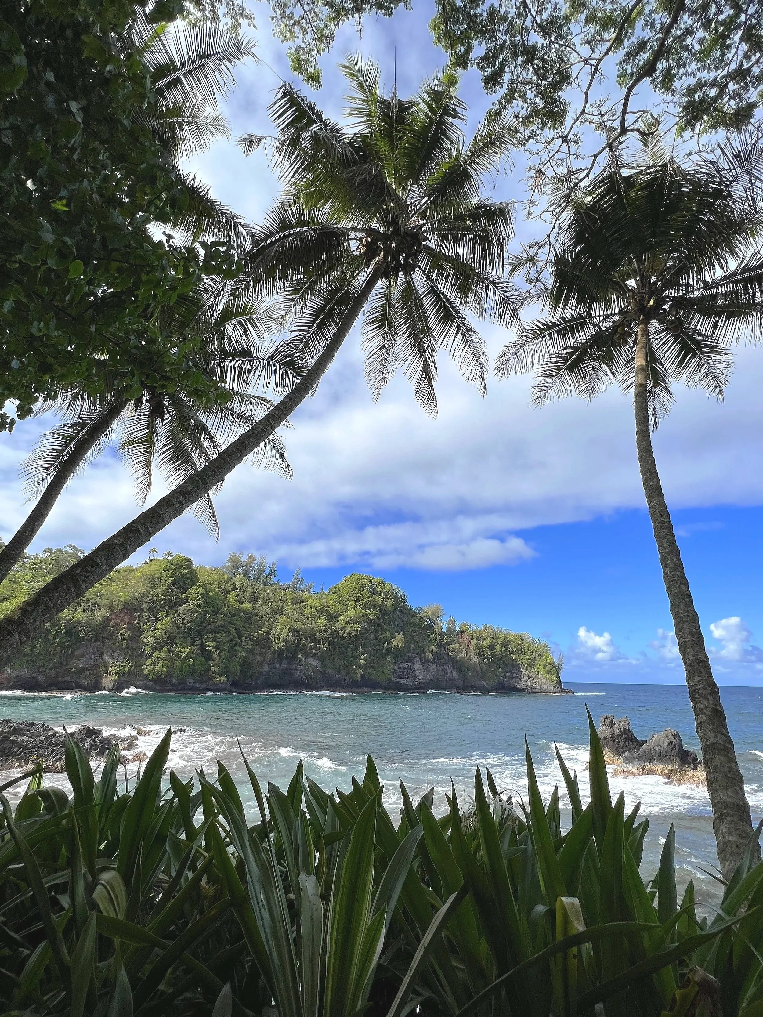 View of tropical beach with palm trees in foreground, green hillside in distance, and partly cloudy sky.