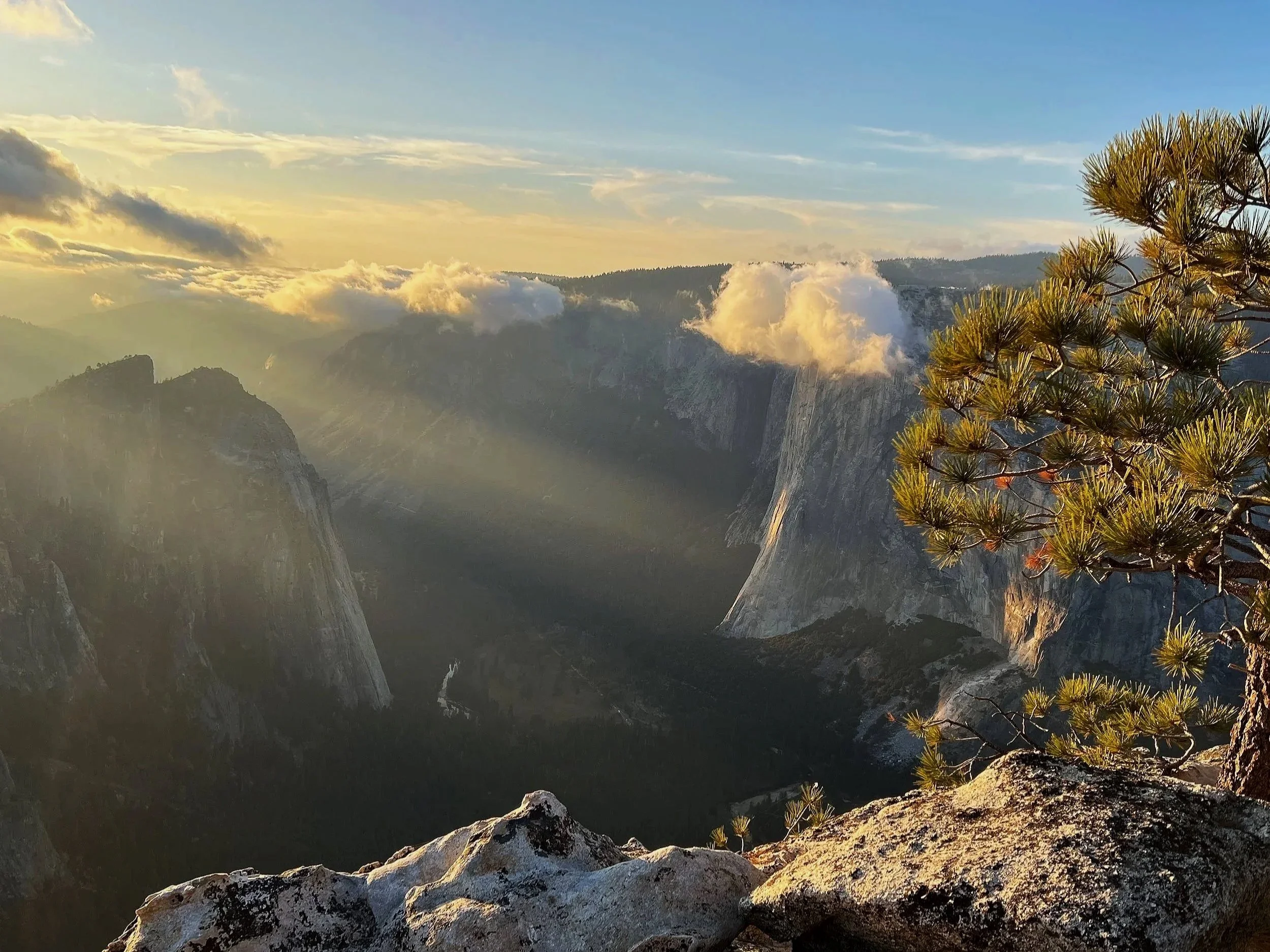 Sunset over a large valley with clouds in the sky and pine trees in the foreground.