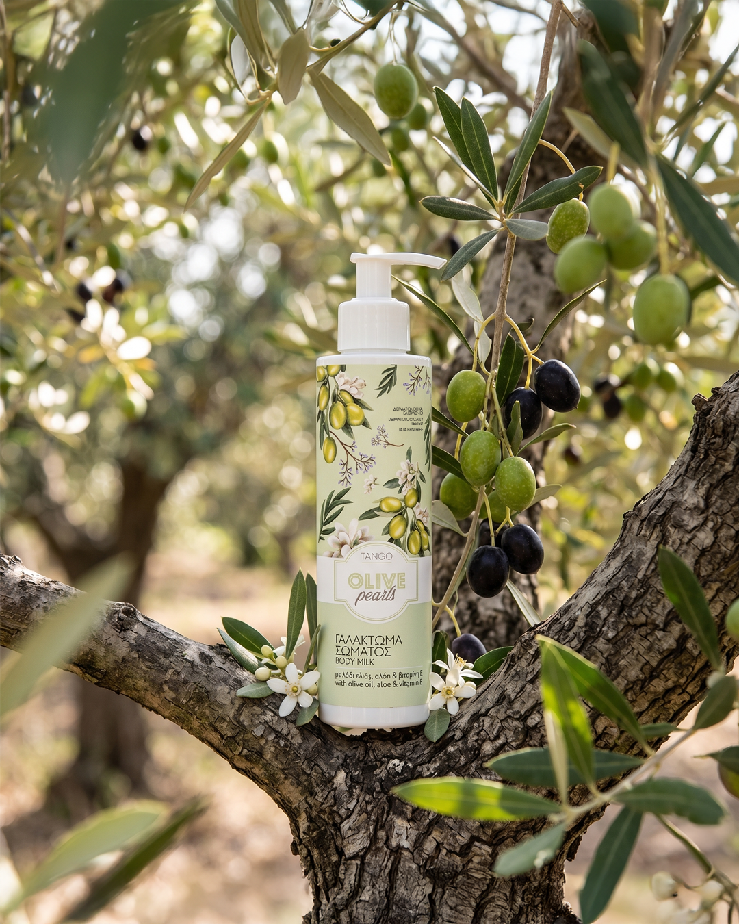 BODY-MILKS-OLIVE-PEARLS.png