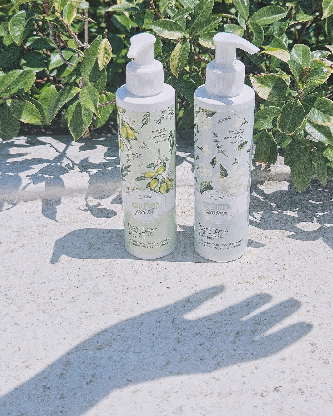 Copy of GENESIS - 03.png