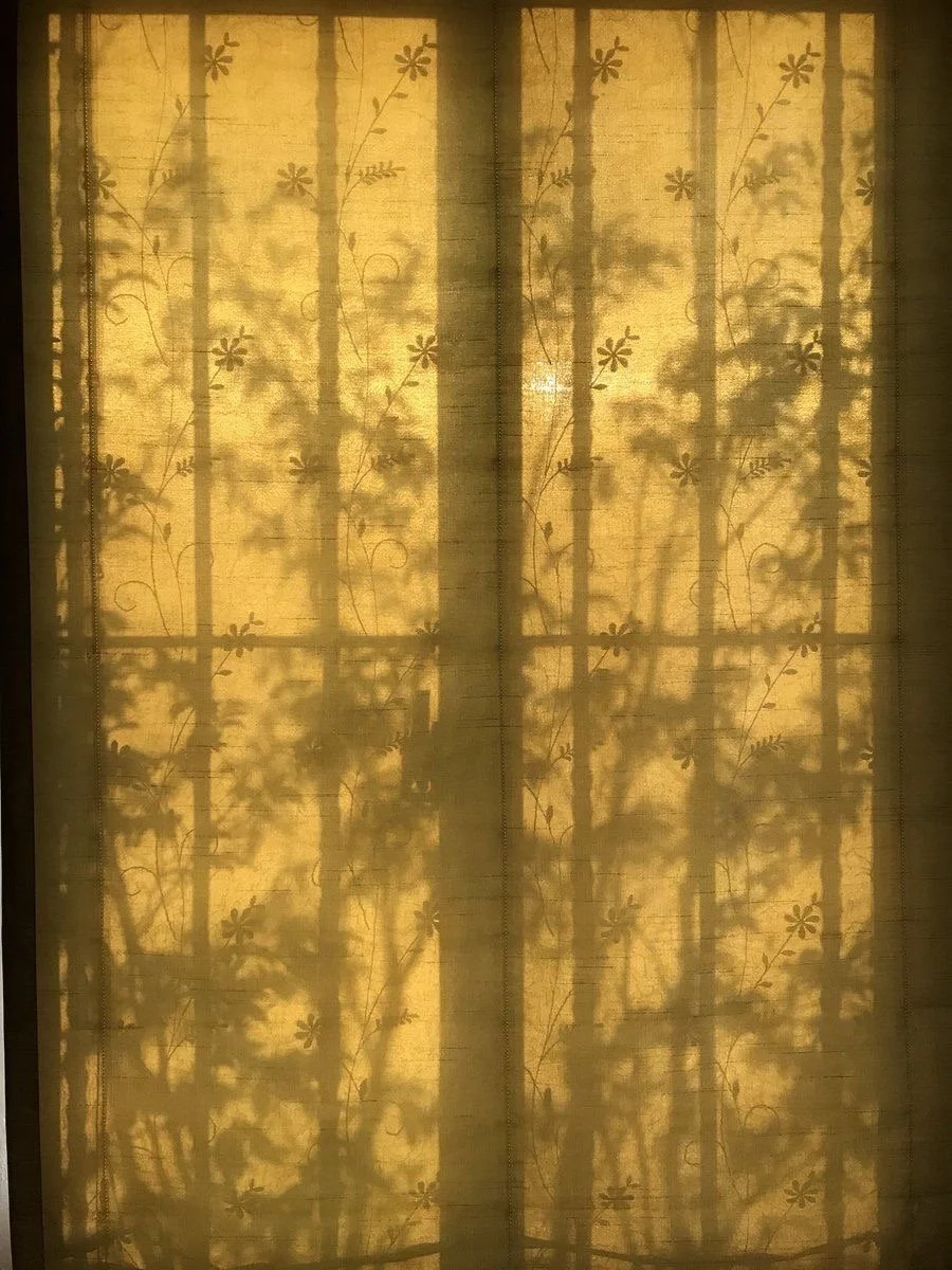 Sunlight shining through a window with sheer curtains with a floral pattern, casting shadow of trees and flowers on the curtains.