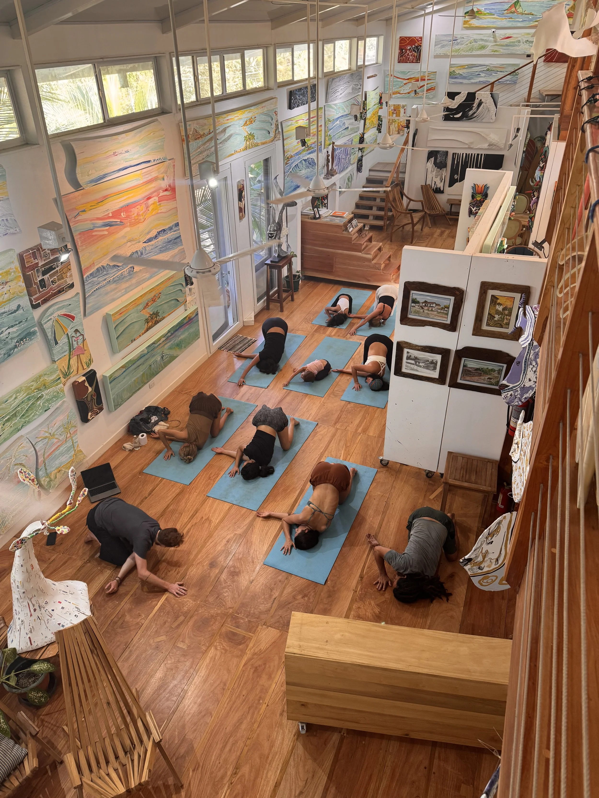 Galeria Yoga