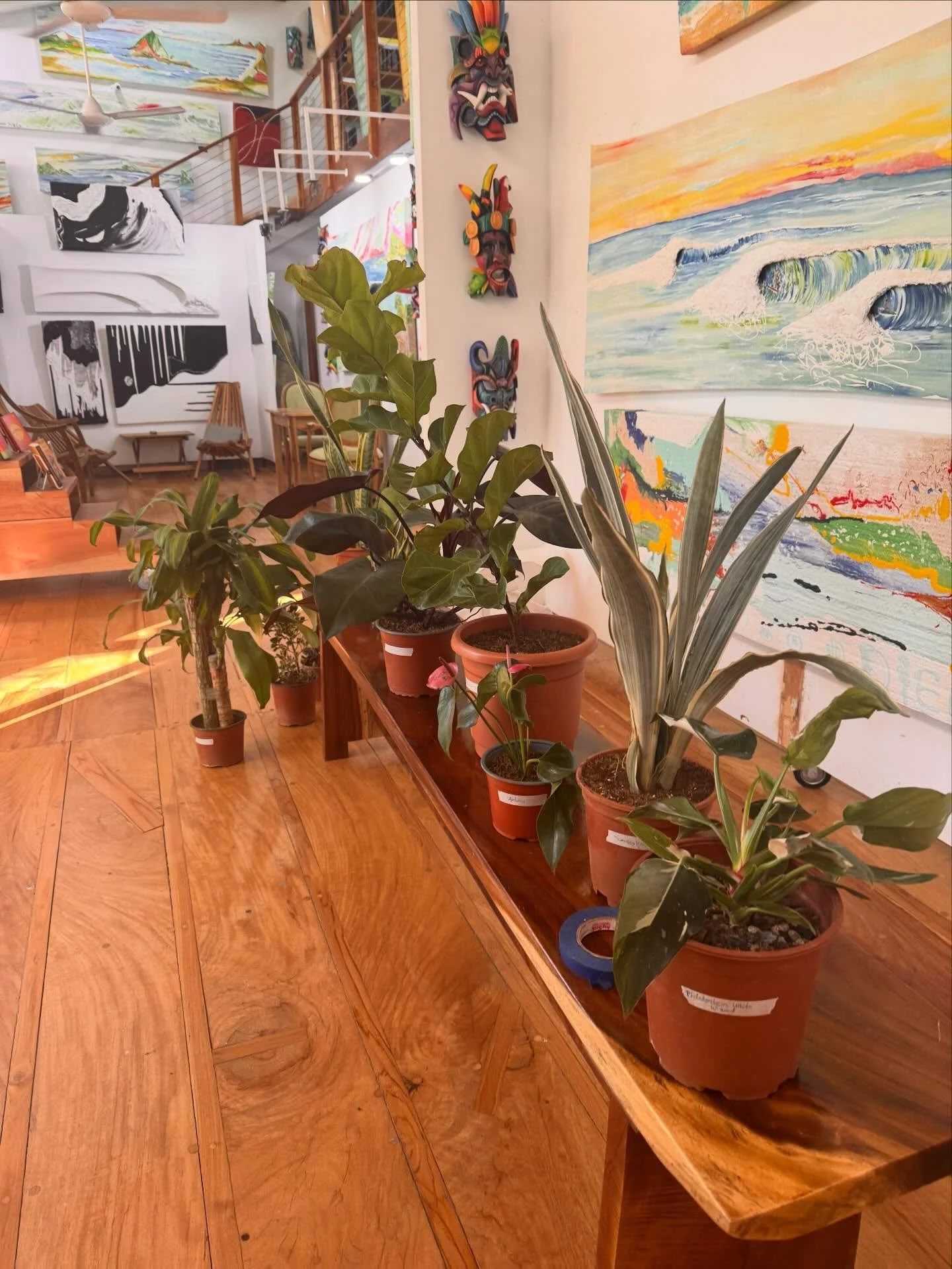 Did you know we also offer plants? Books, art, coffee and plants. 

What more could you want? 📚☕️🪴🎨