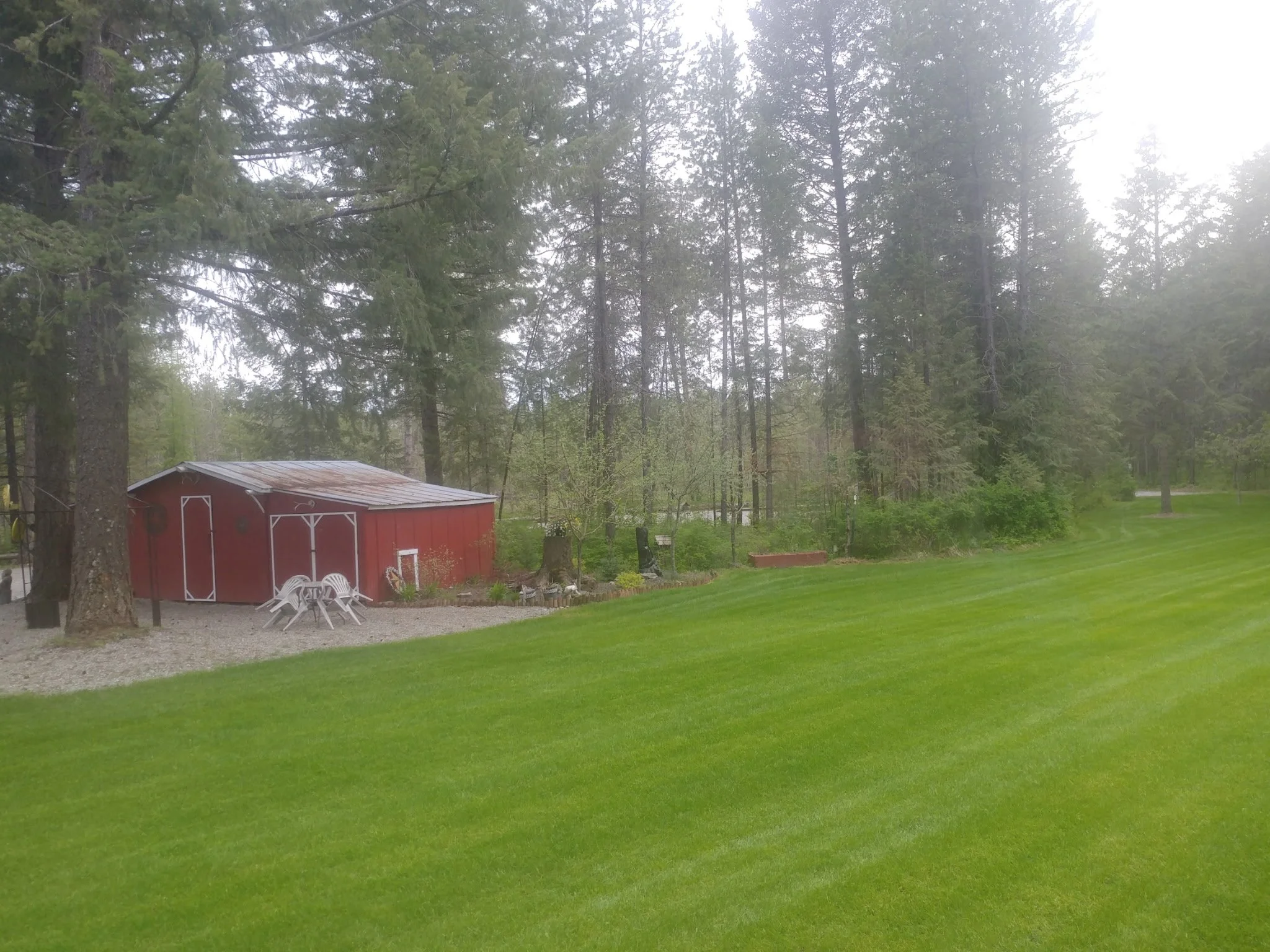 A red shed with white trim and a metal roof in a backyard, surrounded by trees and well-manicured green grass.