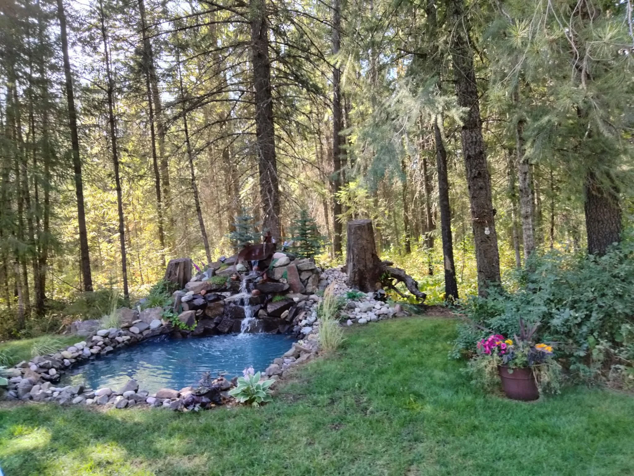 A backyard with a small pond surrounded by rocks, with a waterfall feature and tall trees in the background. There is a tree stump and a potted plant with pink flowers on the grassy area.