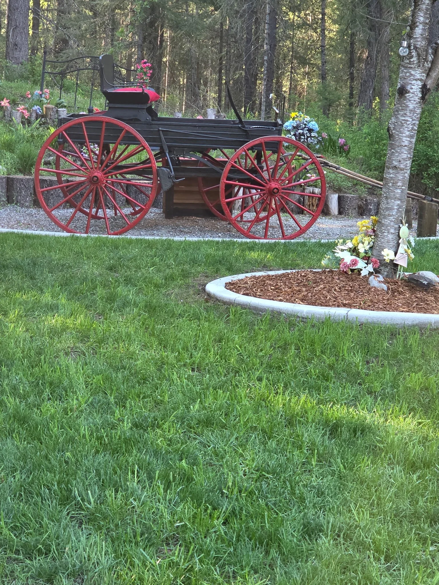 IMG_20260502_182718.jpg
