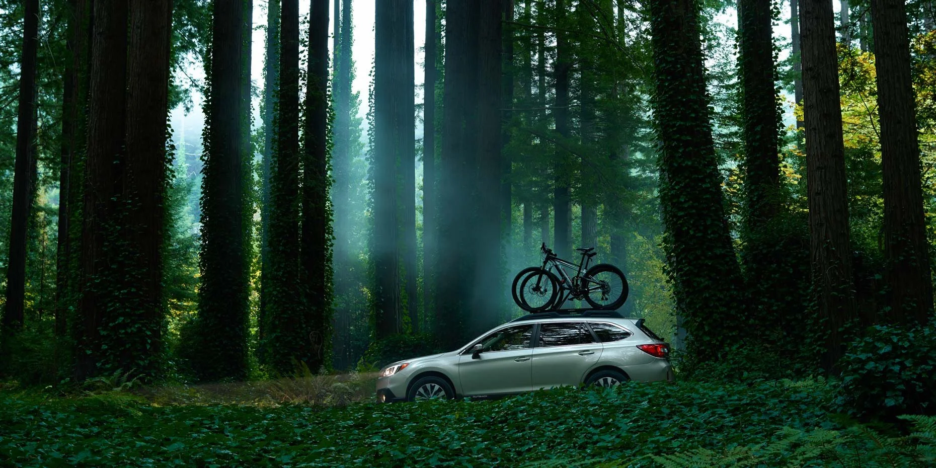 A silver car with a bicycle mounted on top is parked in a dense, green forest with tall trees and sun rays filtering through the leaves.
