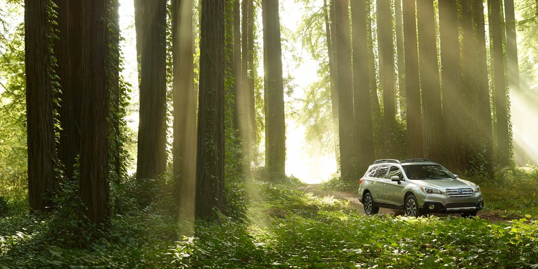 A silver Subaru SUV parked on a dirt path in a lush green forest with tall trees and sunlight filtering through the leaves.