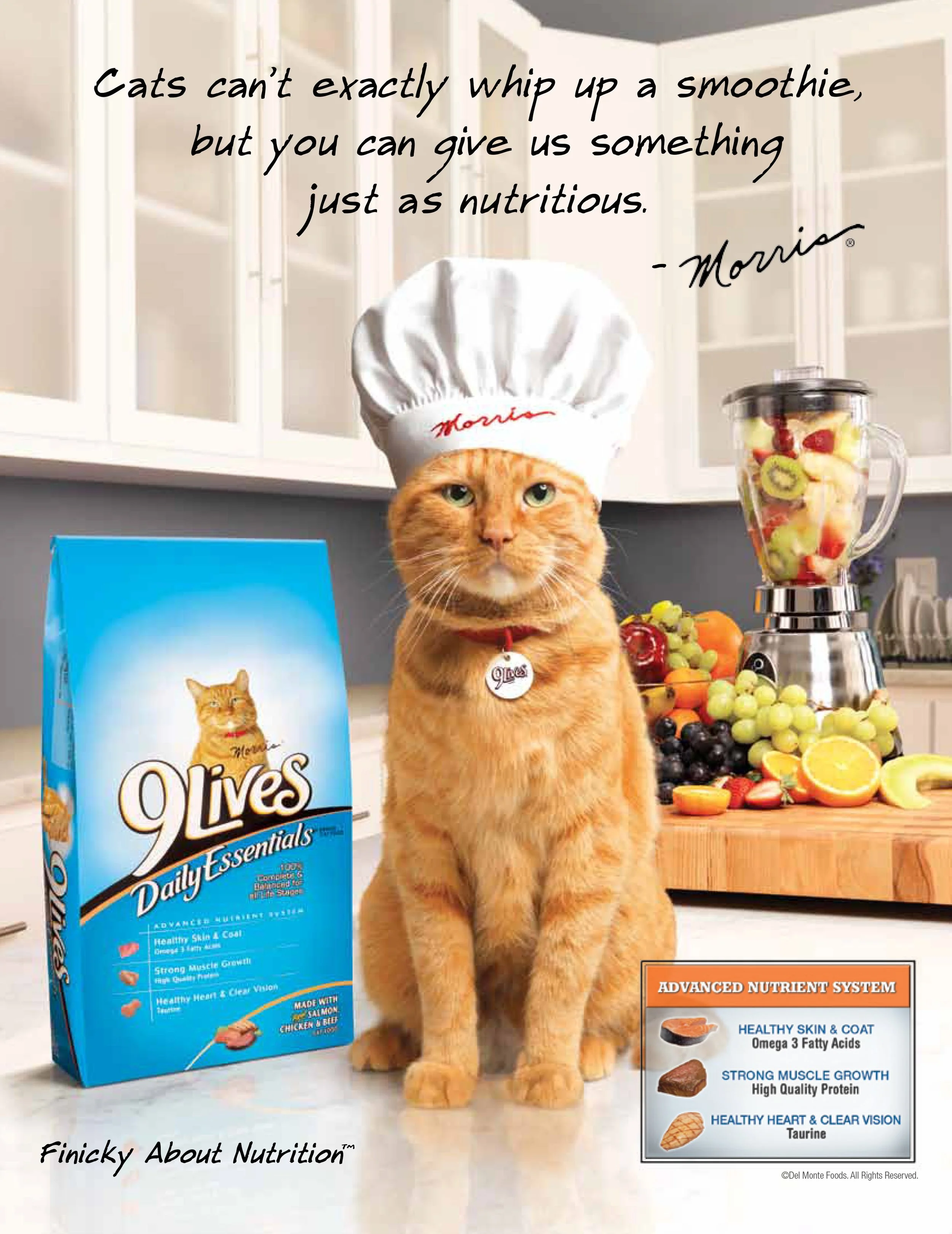 An orange tabby cat wearing a white chef's hat with red writing, standing in a kitchen with a quote about cats and smoothies. There is a bag of 9Lives cat food, a blender filled with fruit, and a variety of fruits in the background.