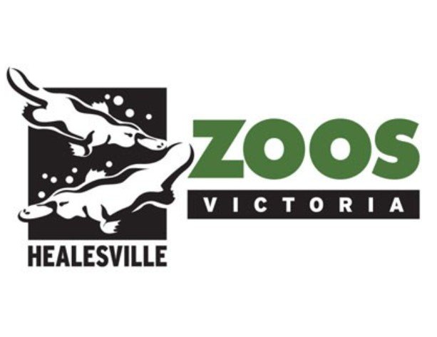 HS Logo (square).jpg