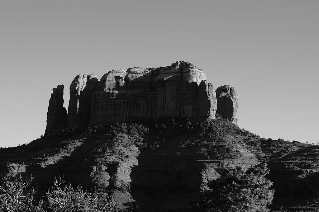 L1041791.jpg