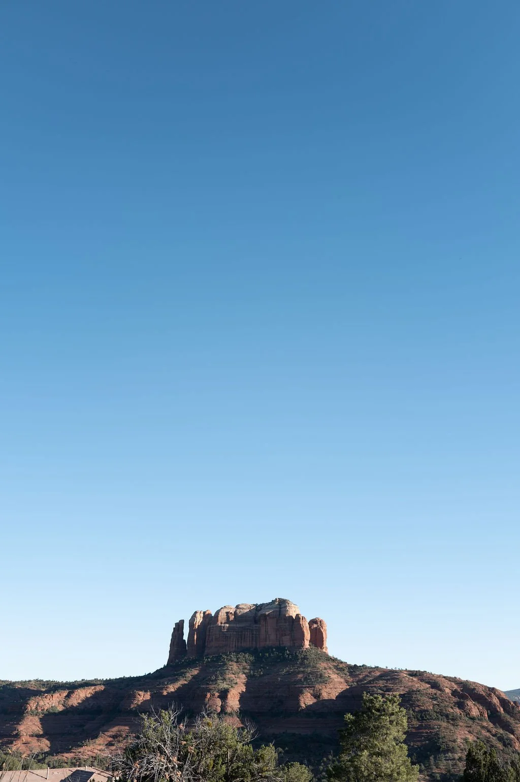 L1041789.jpg