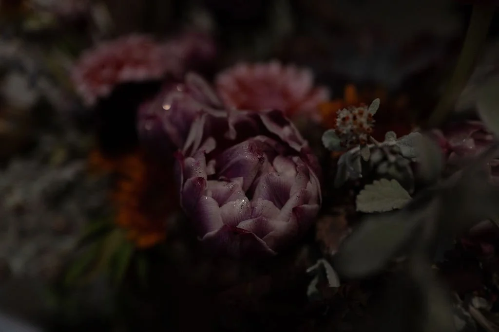 L1041513.jpg