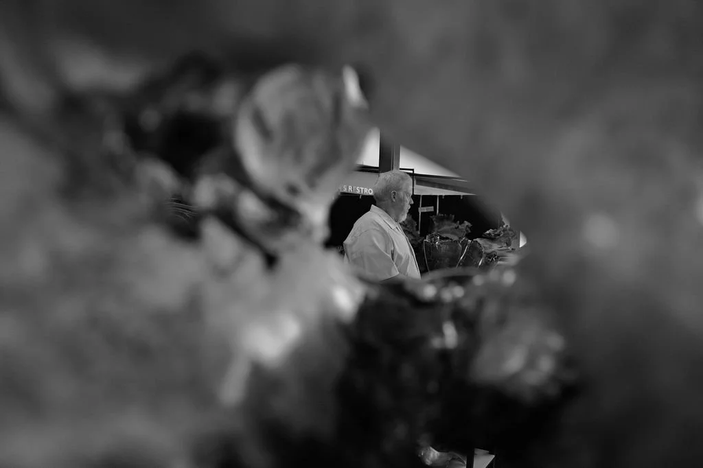 L1041569.JPG