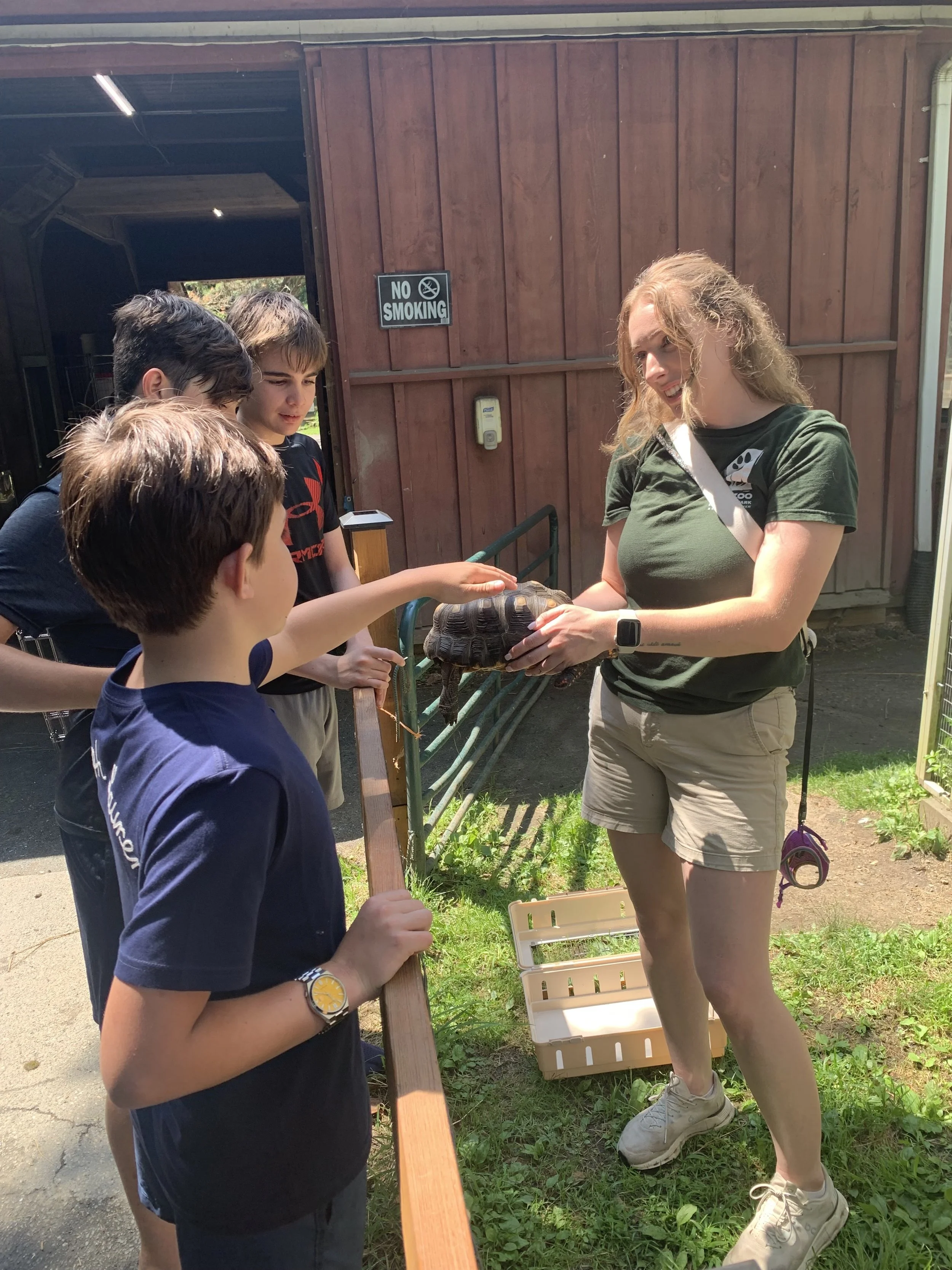 A woman holding a tortoise while a group of children reach out to touch it.