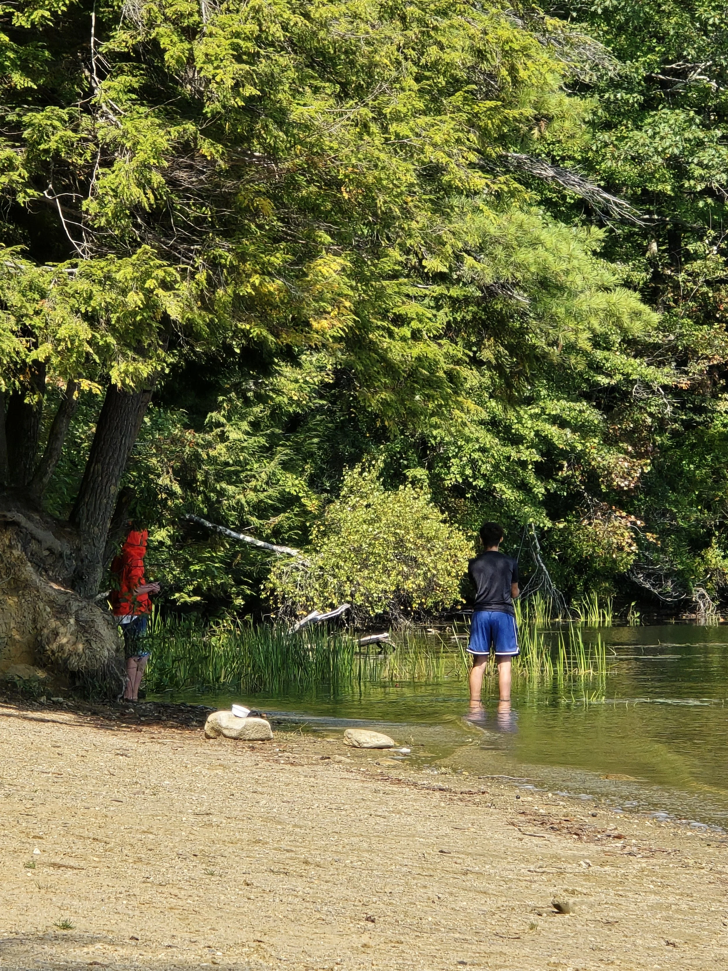 Two people fishing in a lake near a sandy shore, surrounded by dense green trees.