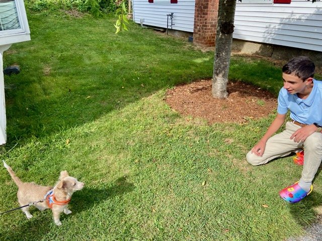 A young boy in colorful Crocs sitting on the grass, smiling at a small dog on a leash in a backyard with a tree, lawn, and house in the background.