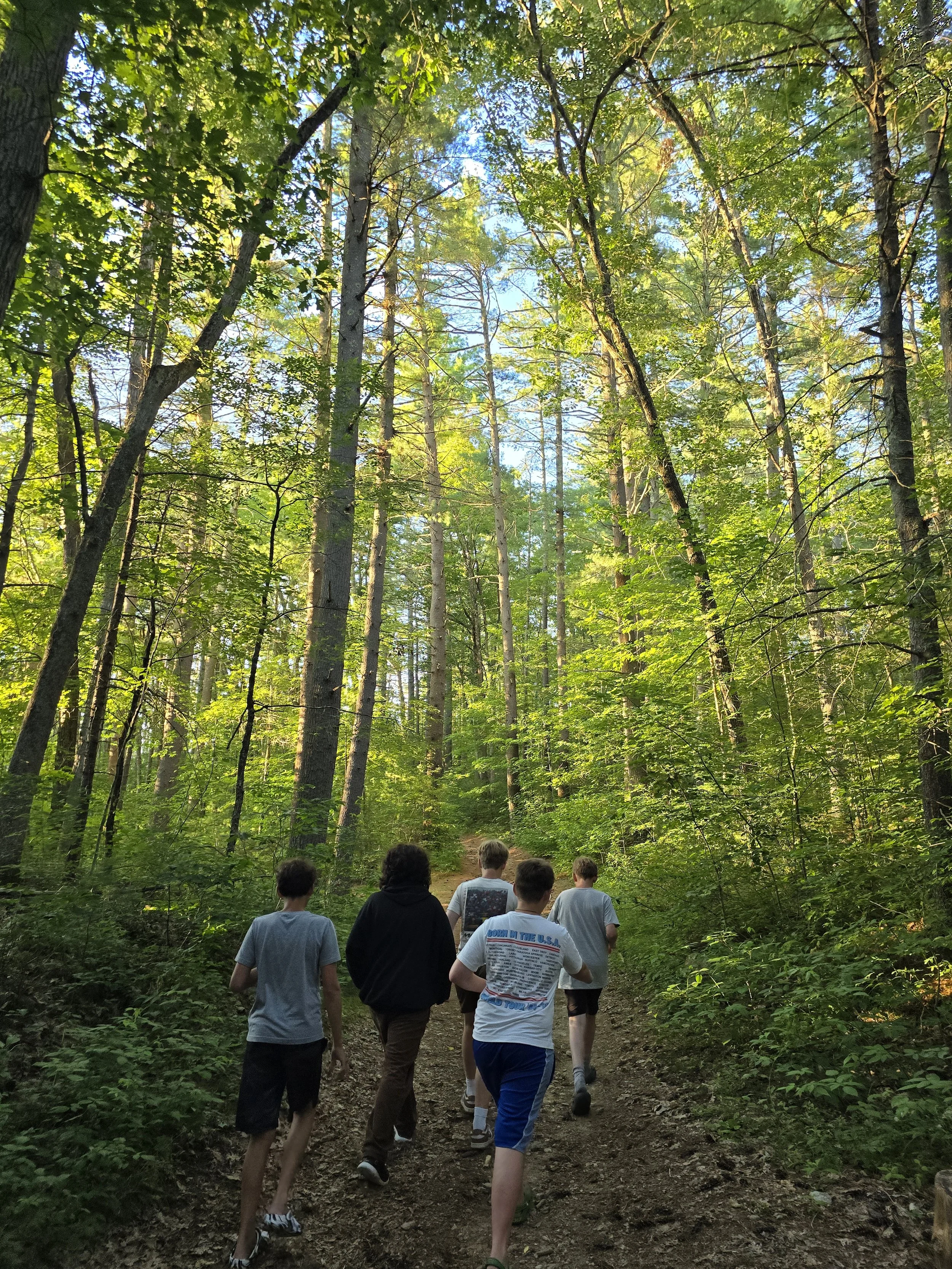 A group of six people walking on a dirt trail through a dense green forest with tall trees and blue sky visible through the leaves.