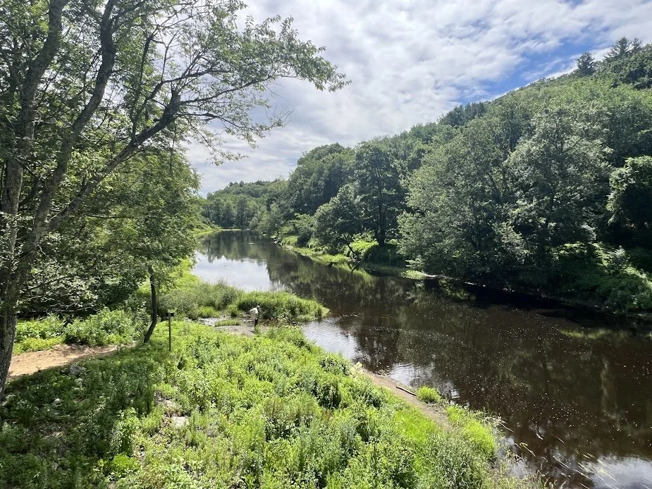 Scenic view of a river flowing through a lush green landscape with trees on both sides under a partly cloudy sky.