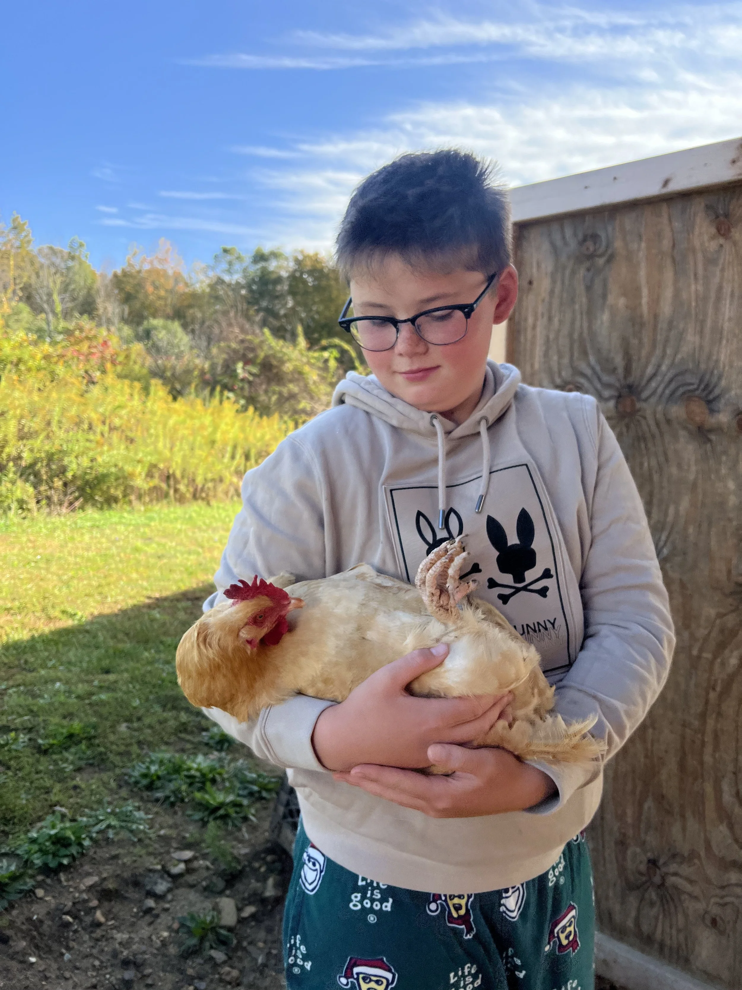 A young boy with glasses holding a golden chicken outdoors on a sunny day.