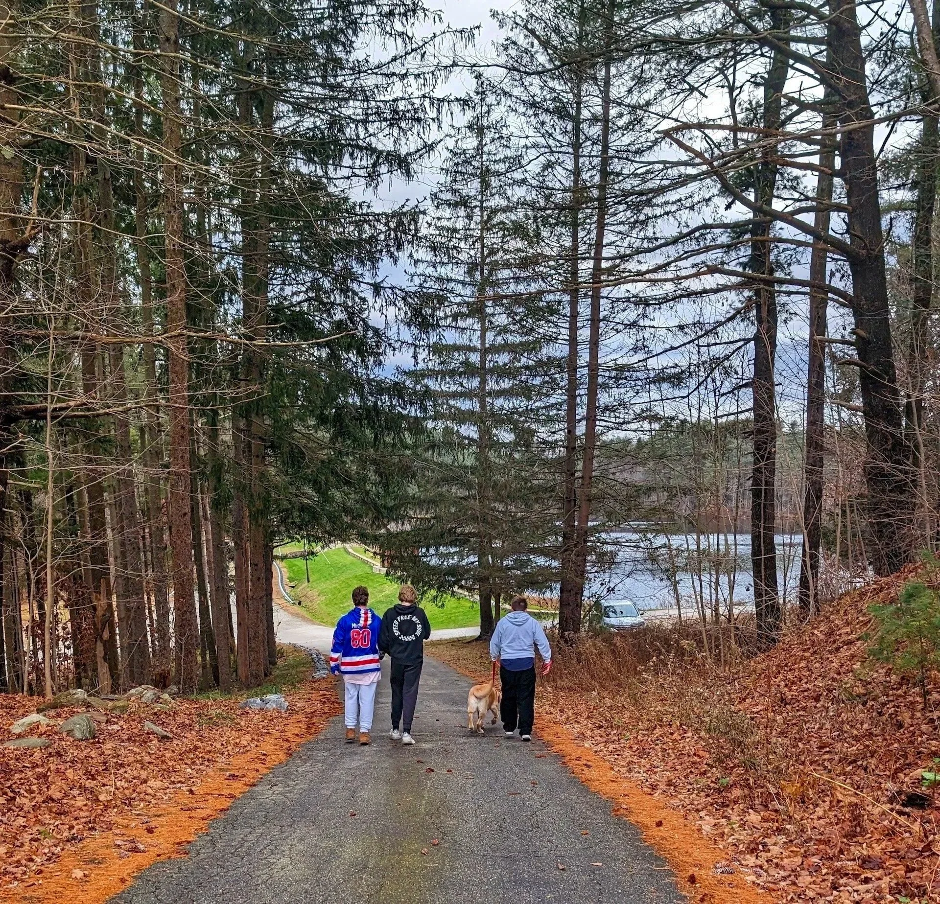 Three people walking down a forested trail with a dog on a leash, surrounded by trees and fallen leaves.