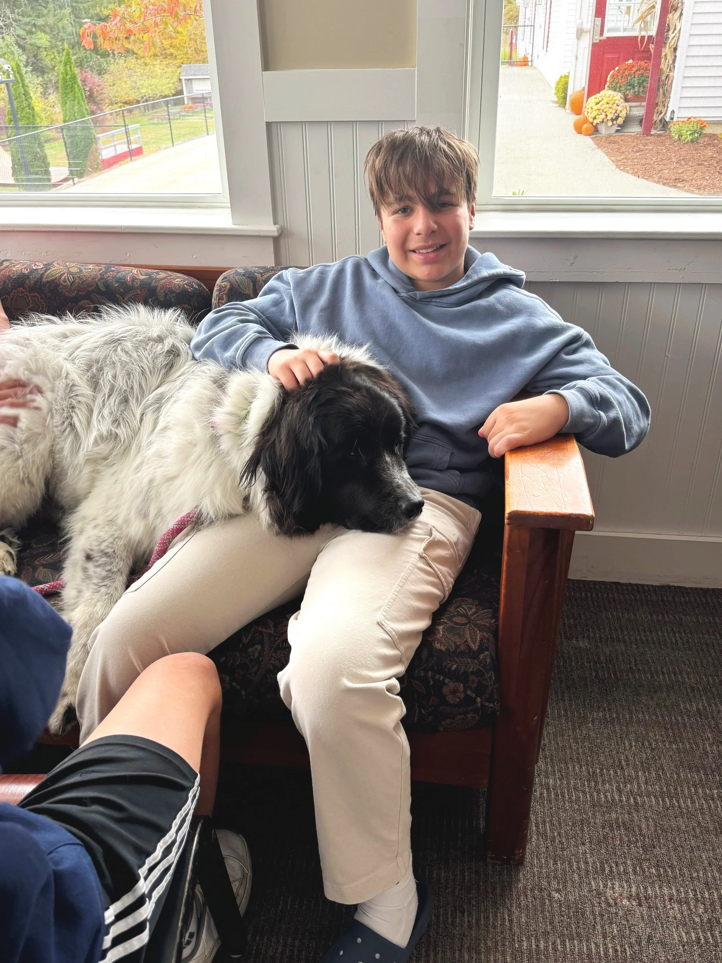 A young boy in a light blue hoodie and beige pants sitting on a floral-patterned sofa with a black and white dog resting its head on his lap. The boy is smiling and petting the dog. There are large windows behind them showing an outdoor view with a red house, pumpkins, and flowers.