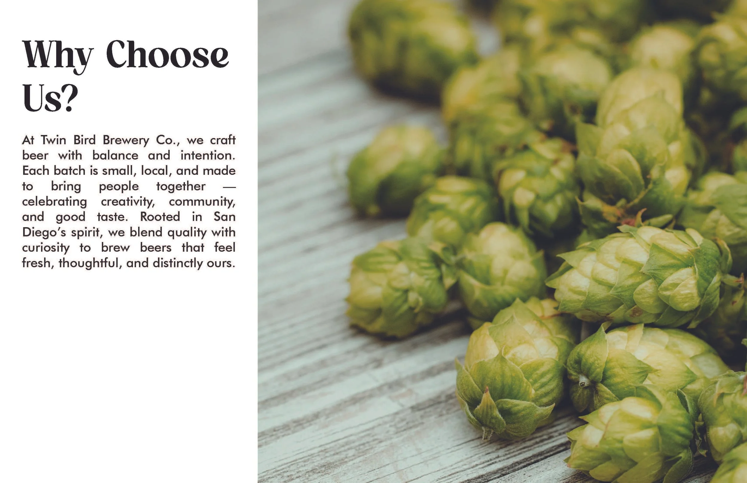 twin_bird_branding 2_Page_05.jpg