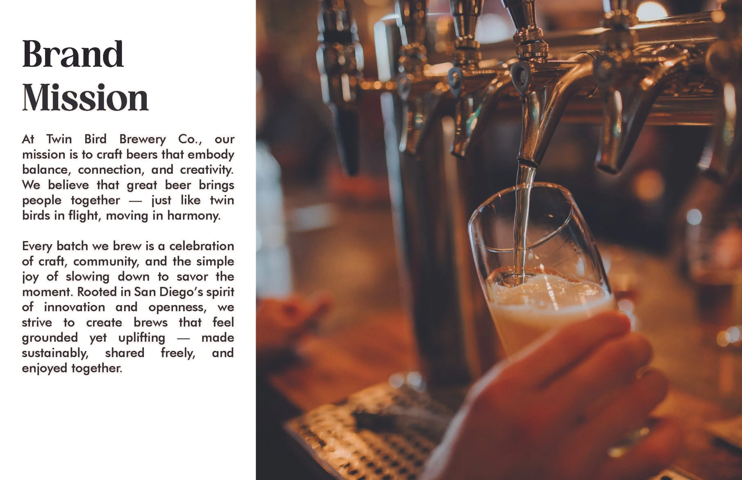 twin_bird_branding 2_Page_04.jpg