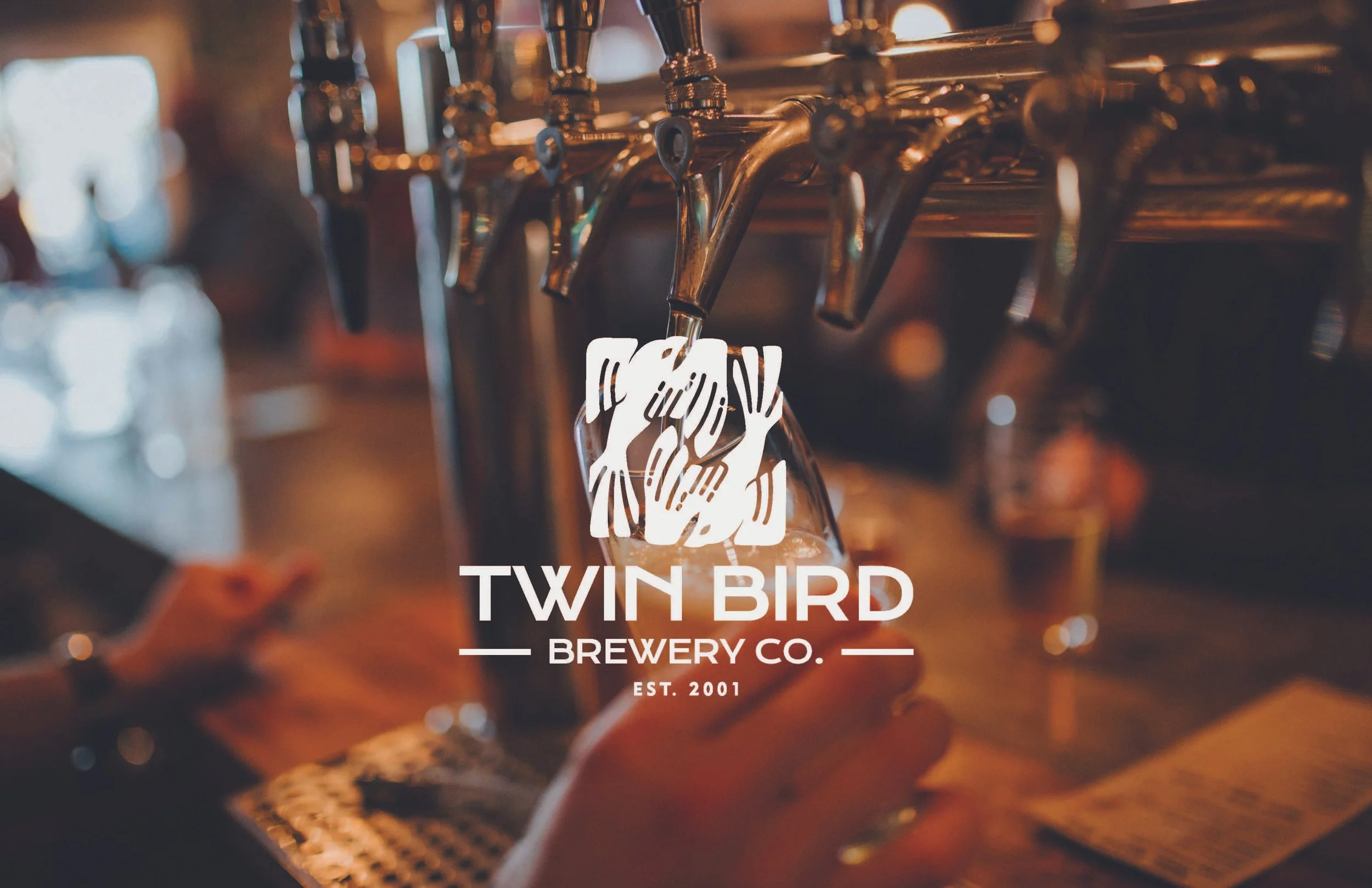 twin_bird_branding 2_Page_28.jpg