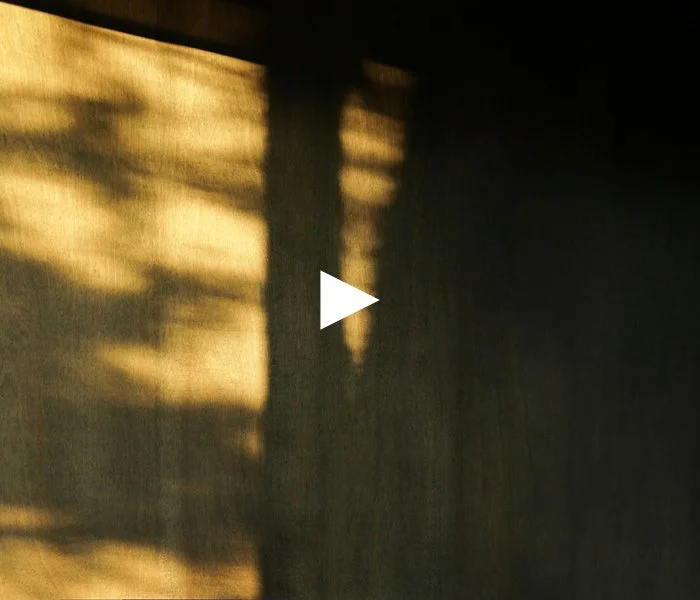 Discover hope, truth, and life. Discover Jesus with the Discover Course  by ALIVE.