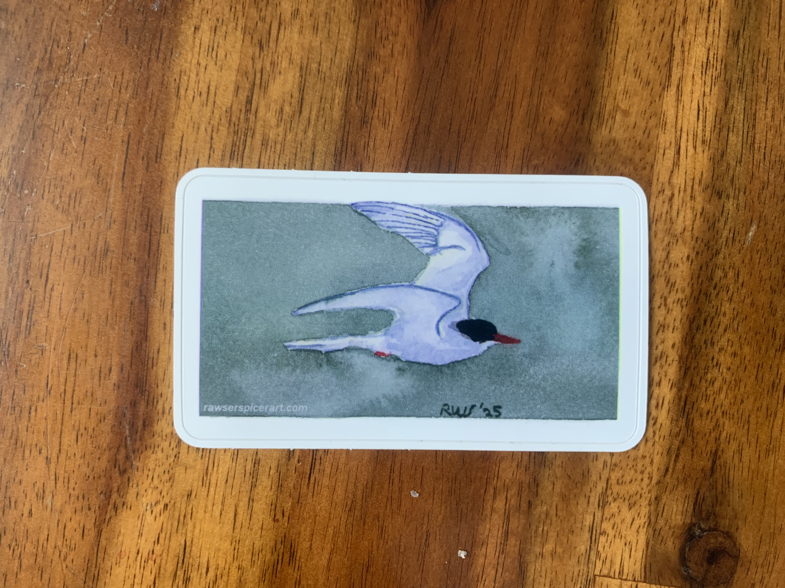 A sticker featuring an Arctic tern with a horizontal green stripe in the background.