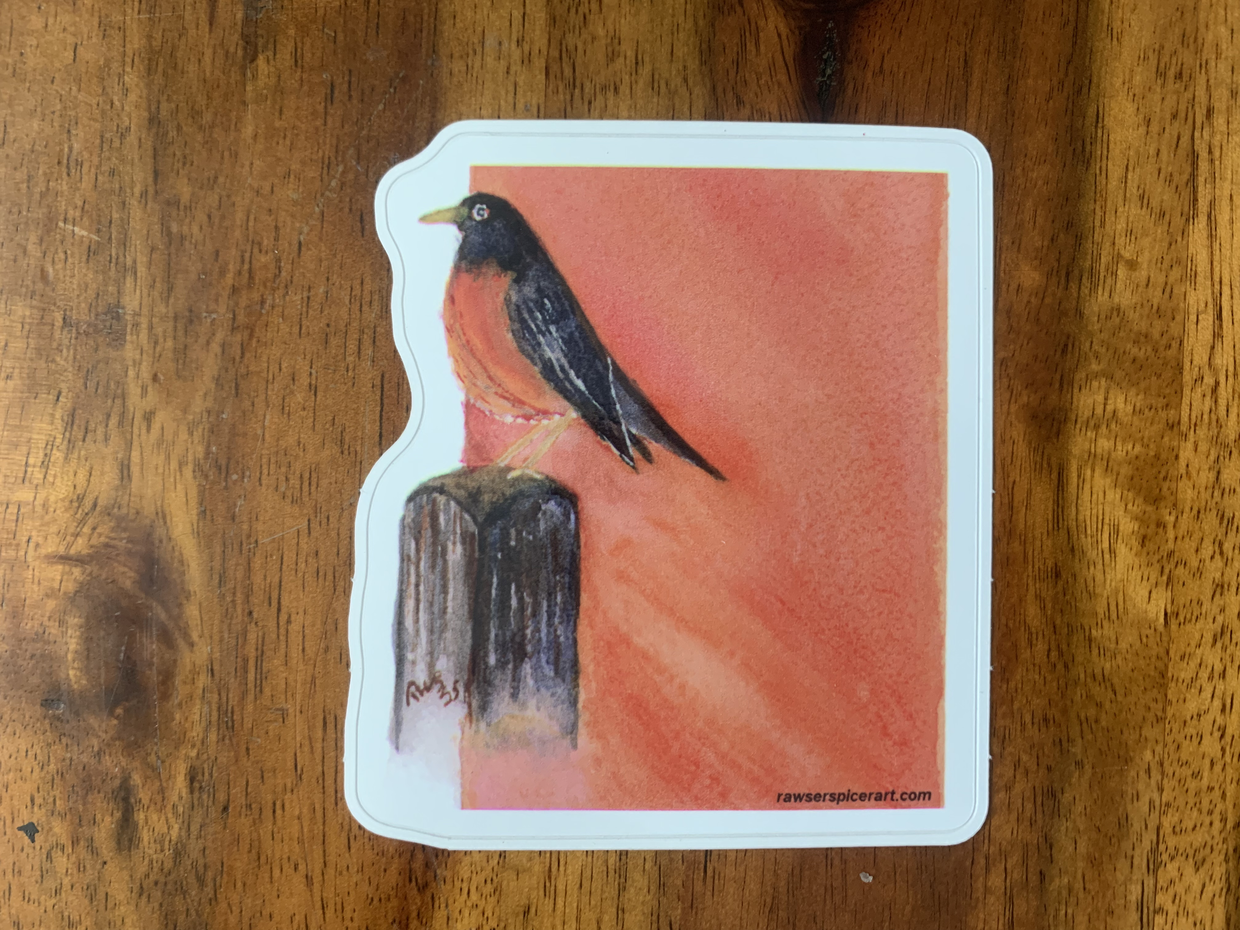A sticker featuring a American robin with a vertical orange stripe in the background.