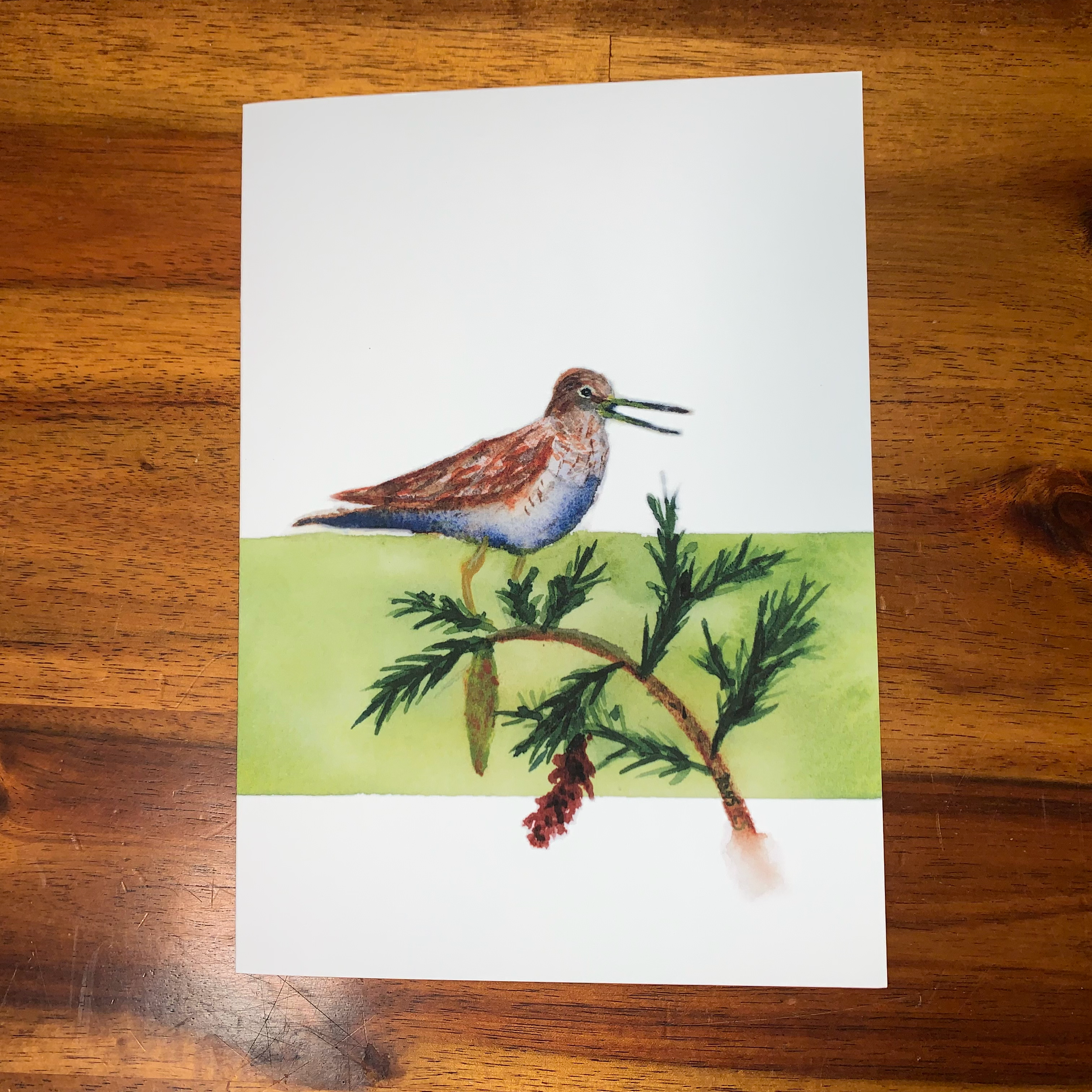 ak-birds-card-solitary-sandpiper.png