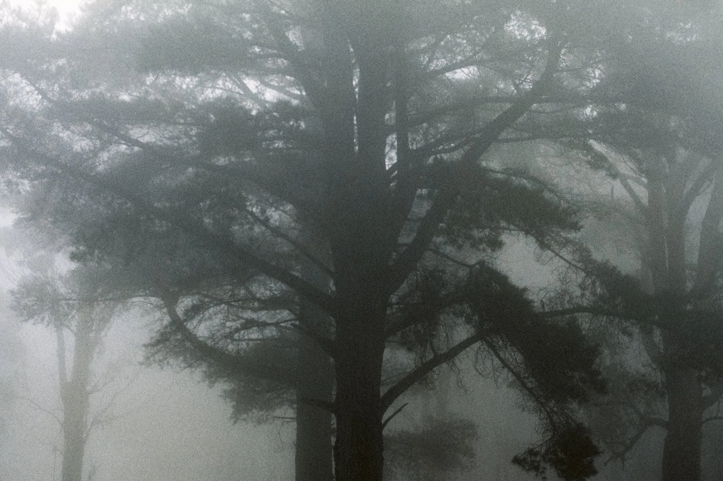 Christian.Pearson.photographer.22197_2026.002-2.jpg