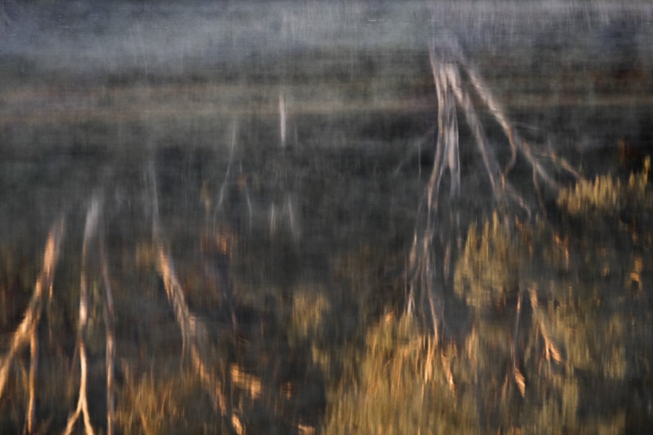 A blurred reflection of trees and sky on the surface of a pond or lake during sunset or sunrise.